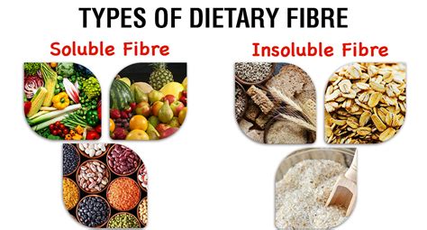 fibre meaning in tamil|fibre .